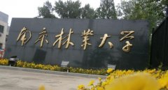 南京林業(yè)大學2019年MBA調(diào)劑申請