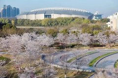 2022年MBA項目復試網(wǎng)申流程 上海對外經(jīng)貿(mào)大學